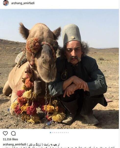 عکسهای طنز شتر