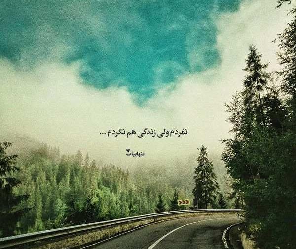 عکس نوشته نمردم ولی زندگی هم نکردم