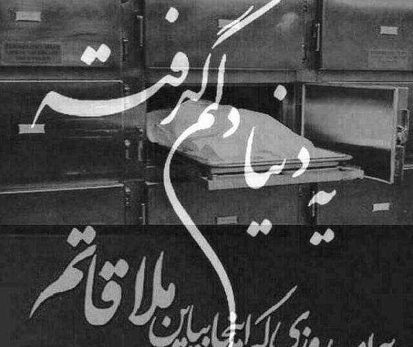 عکس نوشته نمردم ولی زندگی هم نکردم