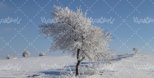 عکس منظره ی برفی