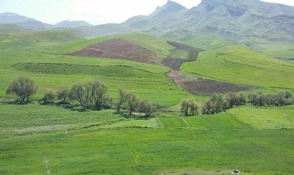 عکس طبیعت سرپل ذهاب