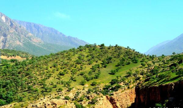 عکس طبیعت سرپل ذهاب