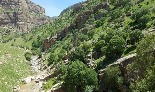 عکس طبیعت سرپل ذهاب