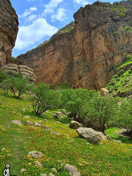 عکس طبیعت سرپل ذهاب