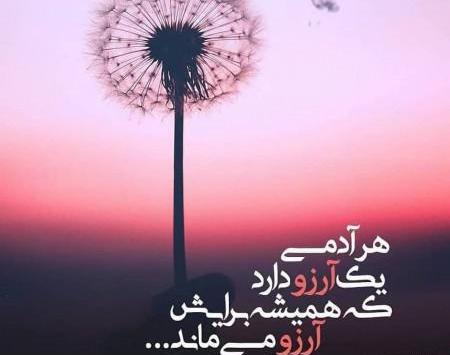 یک عکس خاص و زیبا