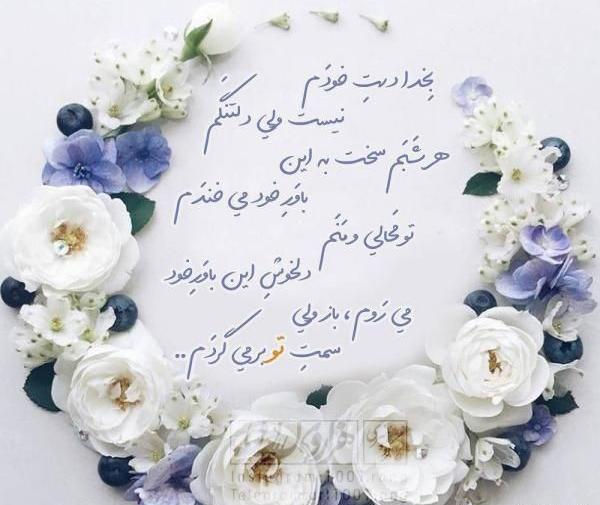 یک عکس خاص و زیبا