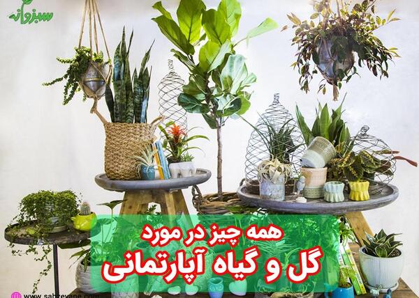عکس ایده پرورش گل و گیاه