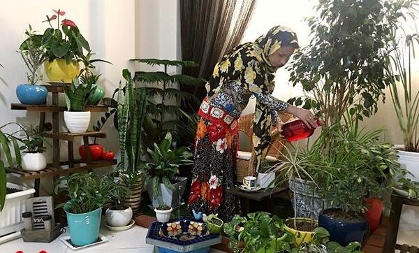 عکس ایده پرورش گل و گیاه