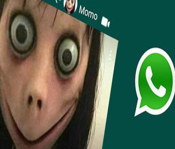 عکس مومو ت