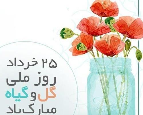 عکس گل و گیاه