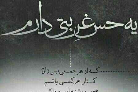 عکس نوشته ی گر بر سر نفس خود امیری مردی