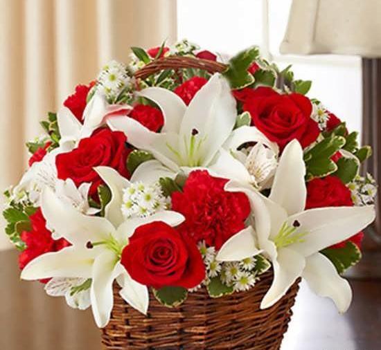 عکس گلهای زیبا برای تبریک تولد