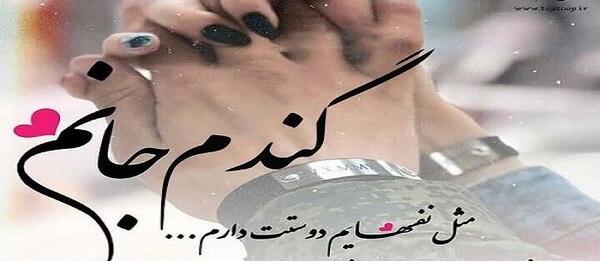 عکس تبریک تولد گندم