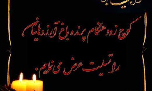 عکس نوشته جوان نازنین درخاک رفتی