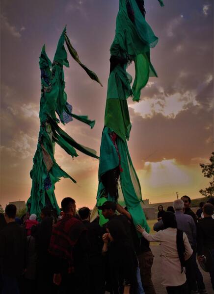 عکس زهره شیخ