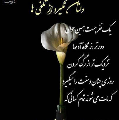 عکس خدا همین حوالیه