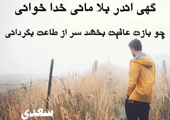 عکس نوشته غزل سعدی