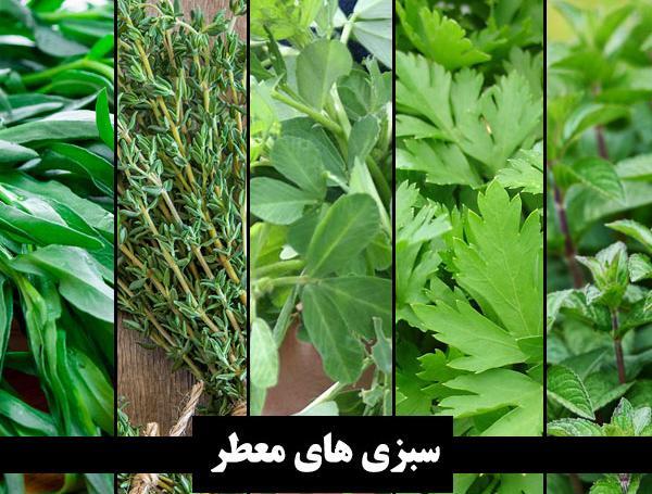 عکس ابراهیم سبزی