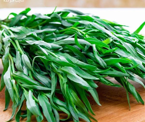 عکس ابراهیم سبزی