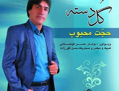 عکس حجت محبوب
