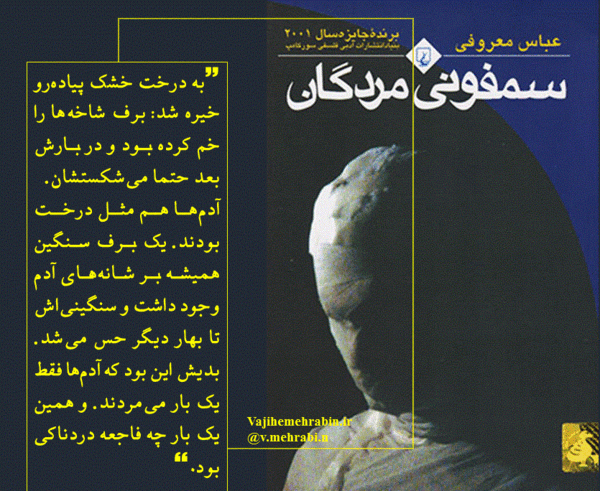 عکس کتاب سمفونی مردگان