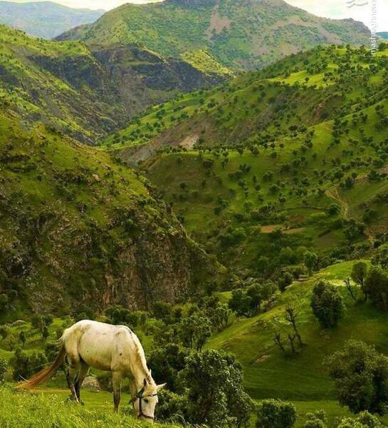 عکس از طبیعت بکر