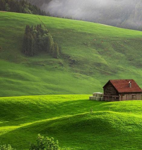 عکس از طبیعت بکر