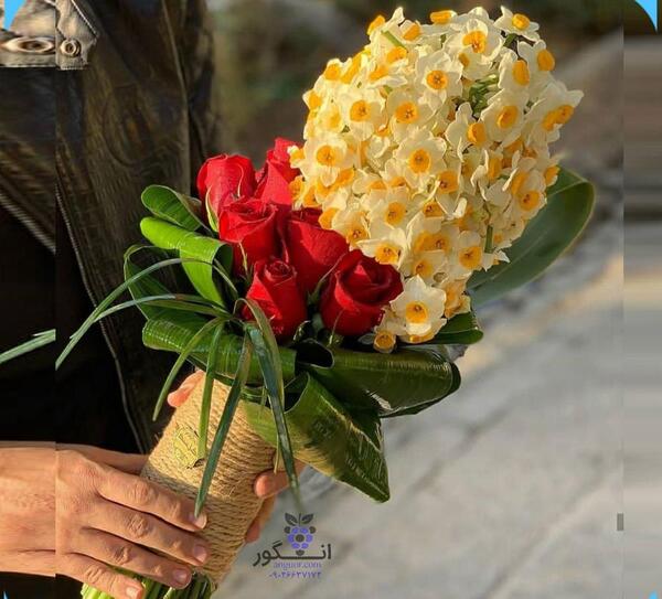 عکس گل نرگس و رز