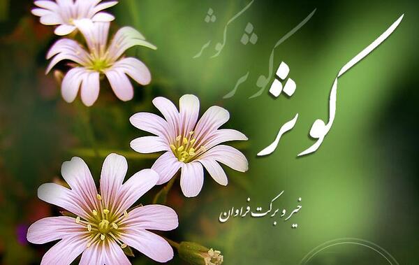 عکس نوشته ک مثل کوثر