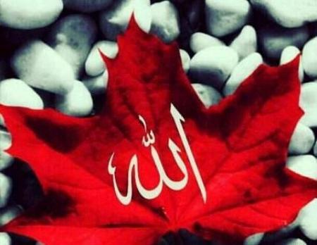 عکس مذهبی لایک دار