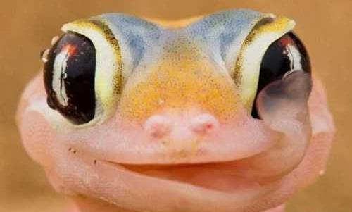 عکس لبخند جالب