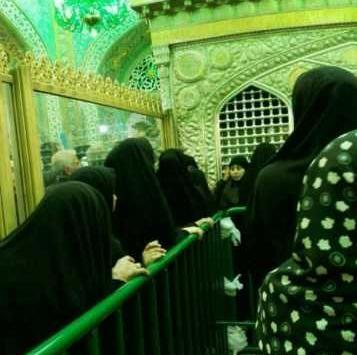 عکس حرم امام رضا ضریح