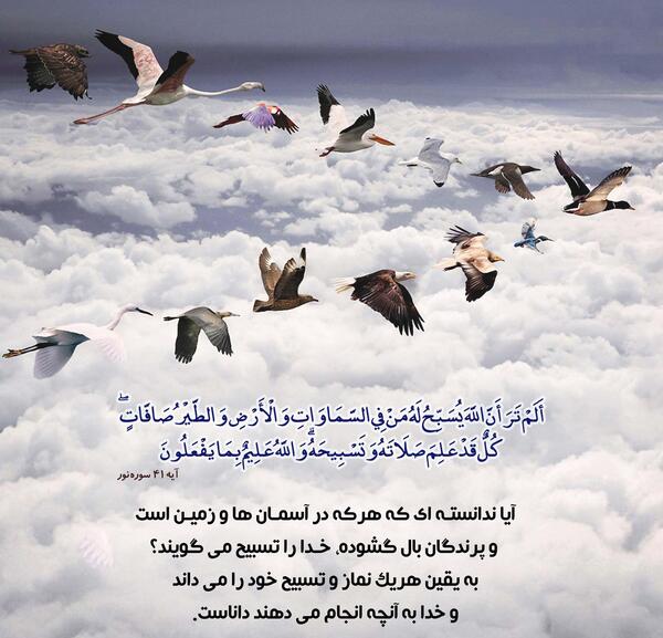 عکس قران تسبیح