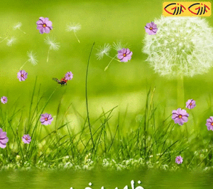 عکس نوشته ظهر بخیر