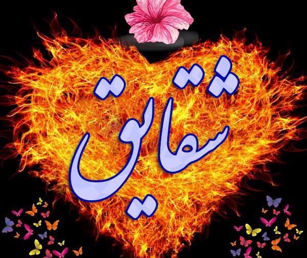 دانلود عکس نوشته شقایق