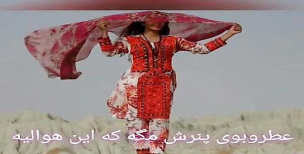 عکسهای صالح بهمنش