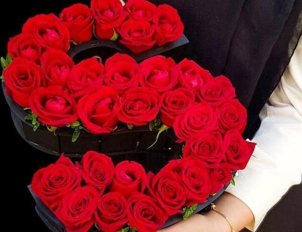 عاشقانه عکس گل مریم قرمز