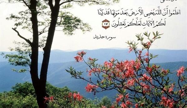 عکس های بهار مهدوی