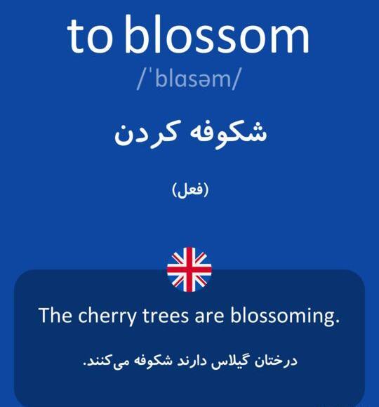 عکس نوشته شکوفه به انگلیسی