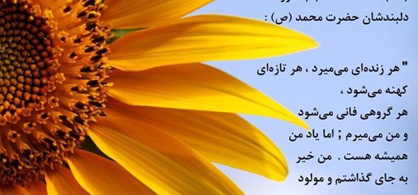 عکس نوشته محمد آمنه