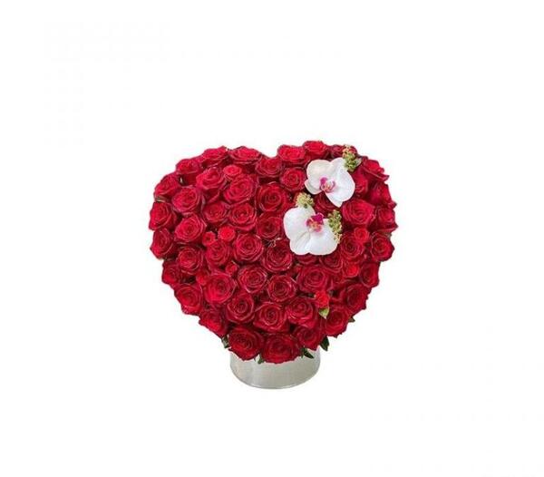 عکس نوشته وانیا