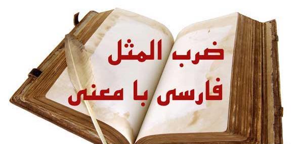 عکس ضرب المثل ماهی