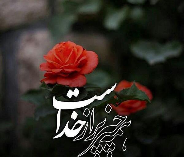 عکس خدا روی گل