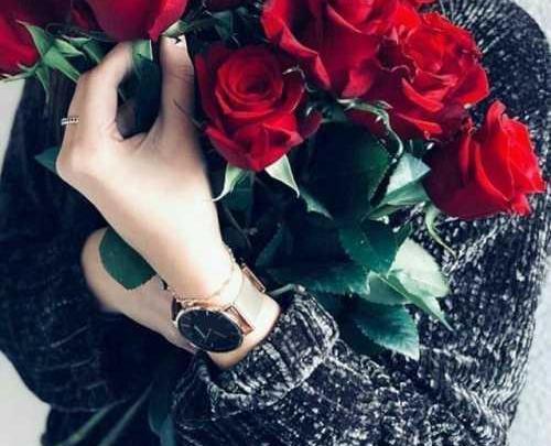 عکس گل رز برای پروفایل واتساپ
