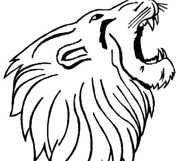 عکس ساده شیر