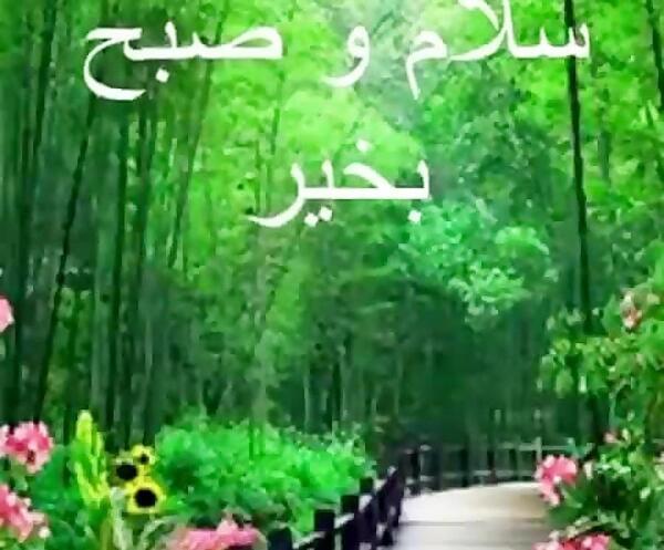 عکس زیبای طبیعت صبح بخیر