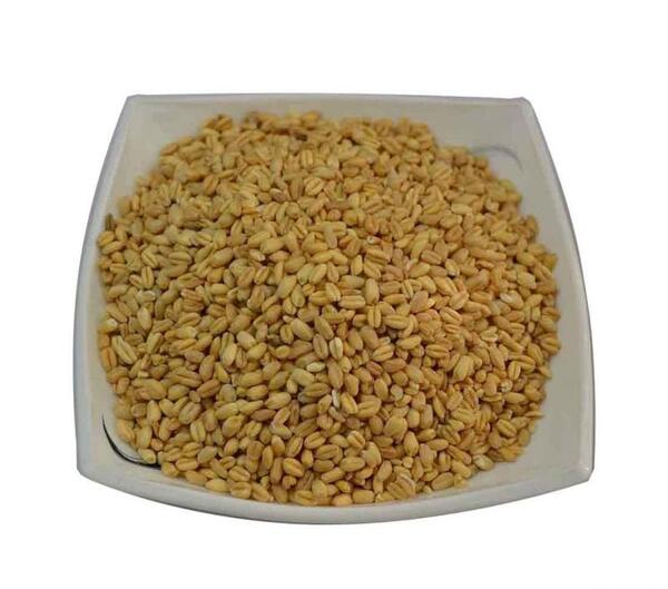 عکس گندم و جو پوست کنده