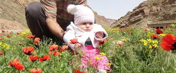 عکس دنیز کوچولو