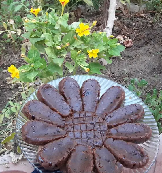 عکس حلوا خرمایی