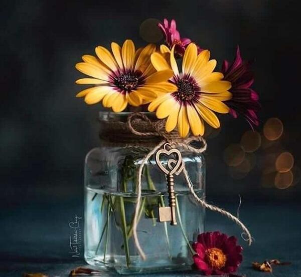 عکس گلهای بسیار زیبای جهان